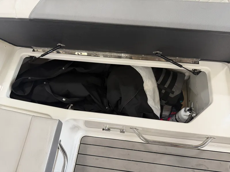 Slide: The Image of Sea Ray SDX 250 2025 - 50