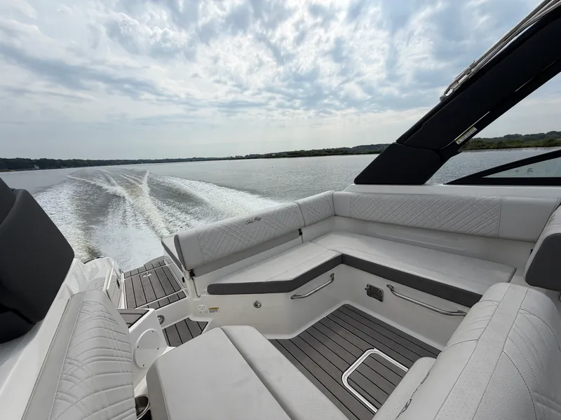 Slide: The Image of Sea Ray SDX 250 2025 - 10