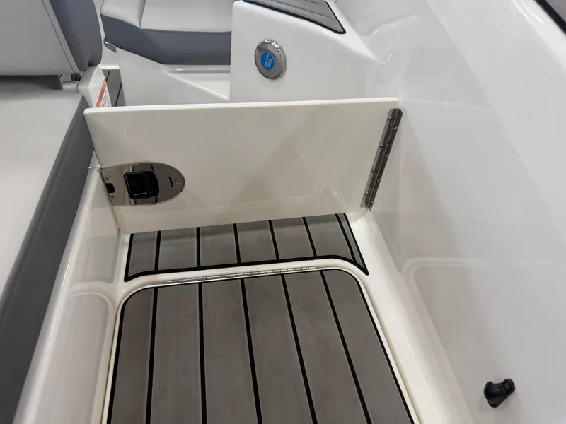 Slide: The Image of Sea Ray SDX 250 2025 - 42