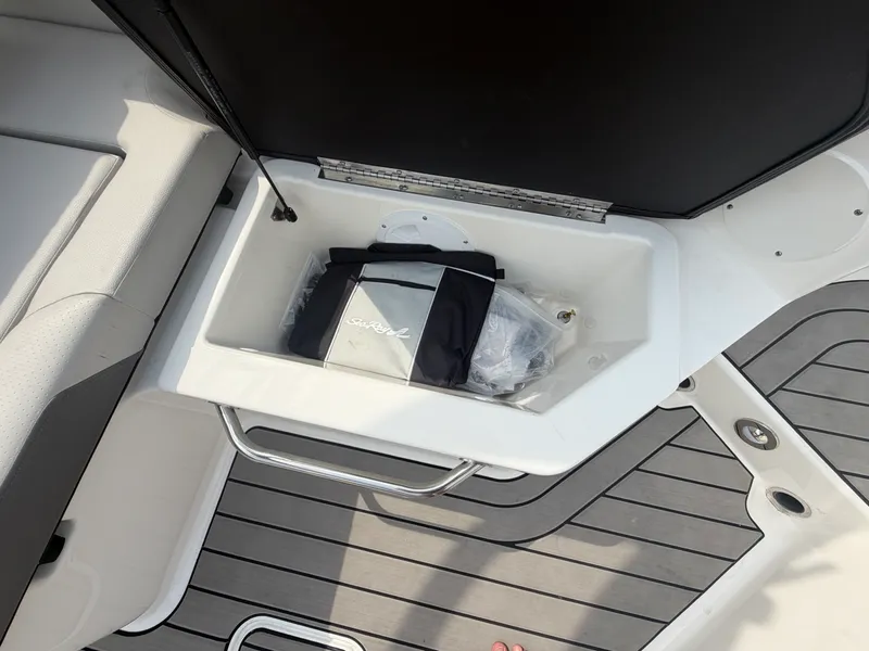 Slide: The Image of Sea Ray SDX 250 2025 - 49