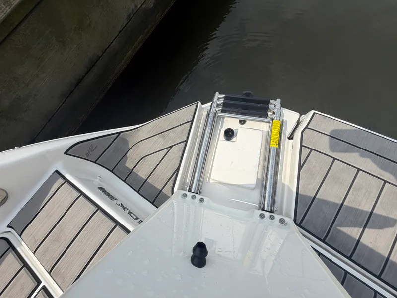 Slide: The Image of Sea Ray SDX 250 2025 - 41