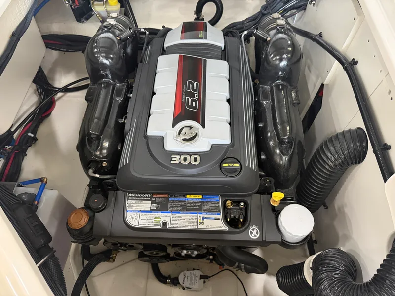 Slide: The Image of Sea Ray SDX 250 2025 - 36