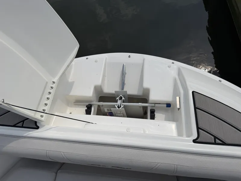 Slide: The Image of Sea Ray SDX 250 2025 - 40
