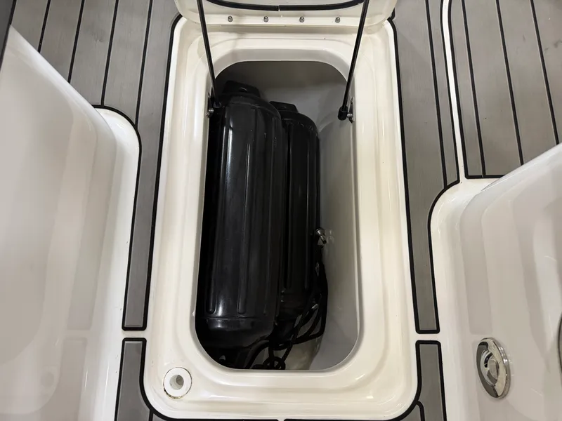 Slide: The Image of Sea Ray SDX 250 2025 - 43