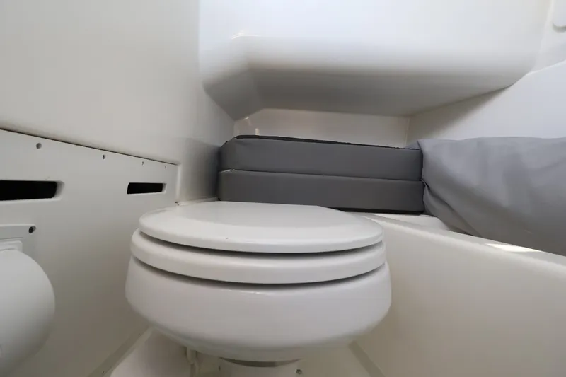 Slide: The Image of The Sea Ray SDX 270 Outboard cabin features a compact toilet with gray cushions. - 30