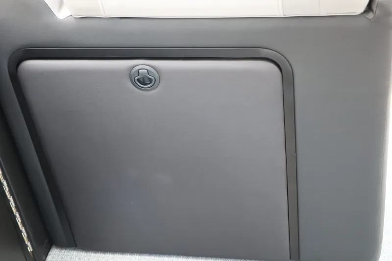 Slide: The Image of Evotti 525 CS Tri Toon 2026, gray door panel. - 43