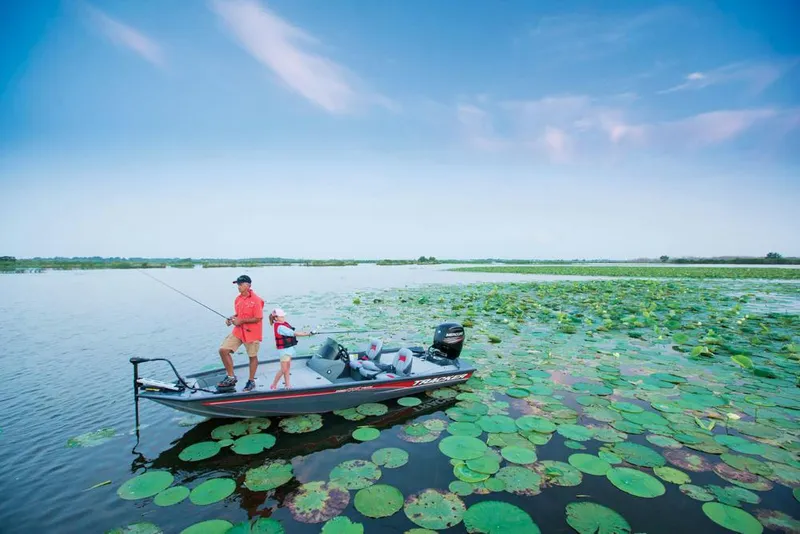 Slide: The Image of An angler stands on a boat in a lily pad-filled pond. - 20