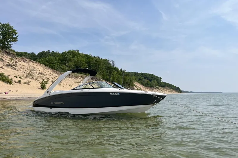 Slide: The Image of 2019 Regal LS6 boat anchored near a sandy shoreline with lush greenery. - 20