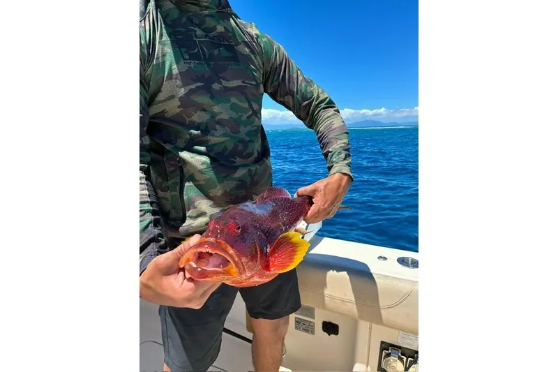 Slide: The Image of Man holding colorful fish on a 2018 Scout 420 LXF boat, ocean backdrop. - 18