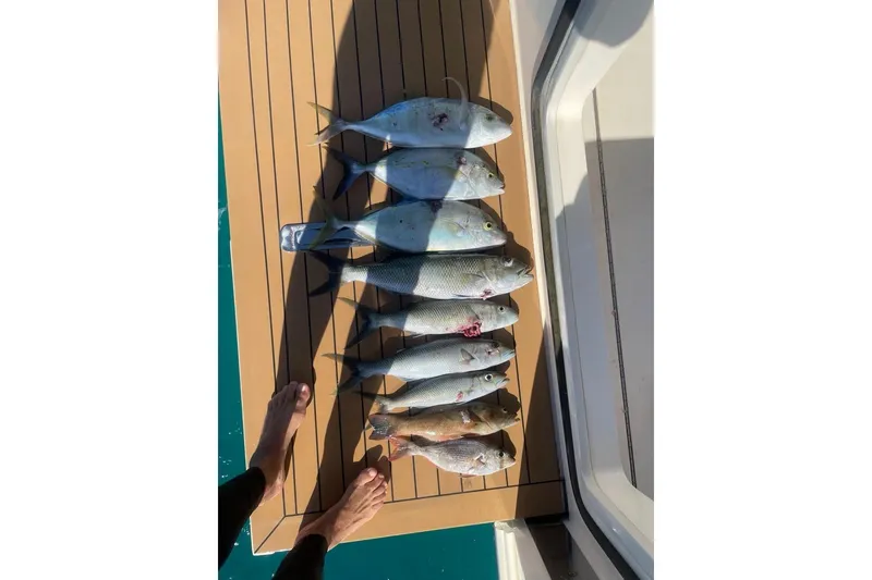 Slide: The Image of Freshly caught fish displayed on a 2018 Scout 420 LXF boat deck. - 20
