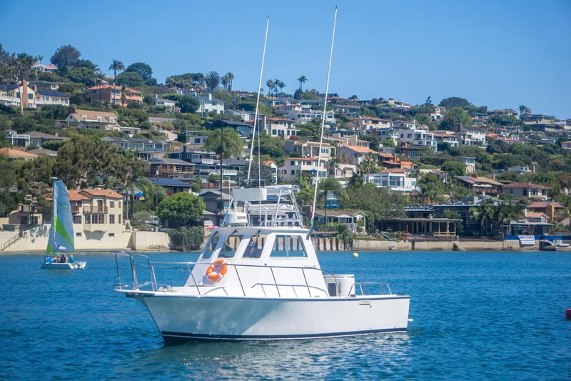 The Image of A 2009 Blackman Pilothouse boat on calm water with coastal homes in the background. - 0