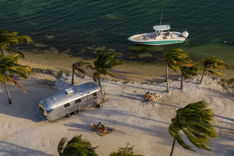 Slide: The Image of 2027 Boston Whaler 250 Dauntless near a tropical beach with palm trees. - 41