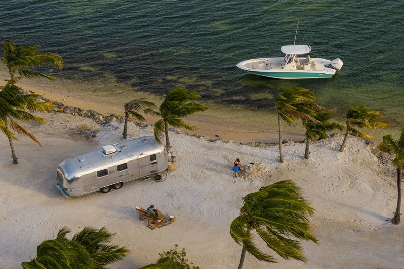 Slide: The Image of A 2027 Boston Whaler 250 Dauntless is anchored near a sandy beach with palm trees. - 43