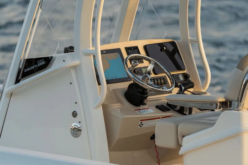 Slide: The Image of Boston Whaler 250 Dauntless 2027 - 51