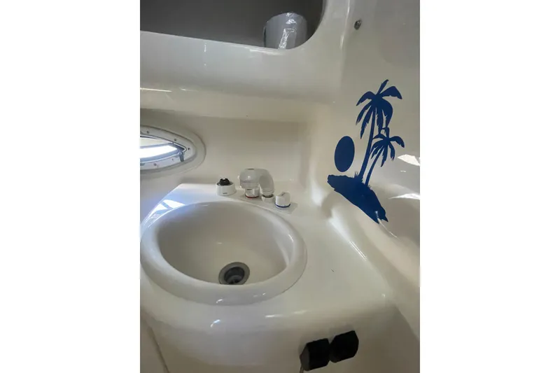 Slide: The Image of 2006 Bayliner 305 boat bathroom sink with palm tree decal. - 29