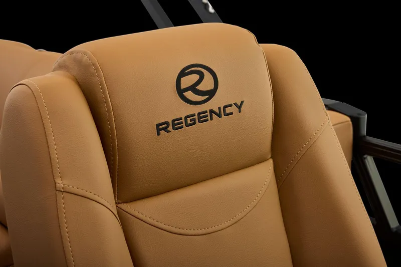 Slide: The Image of Regency 250 DL 2026 - 45