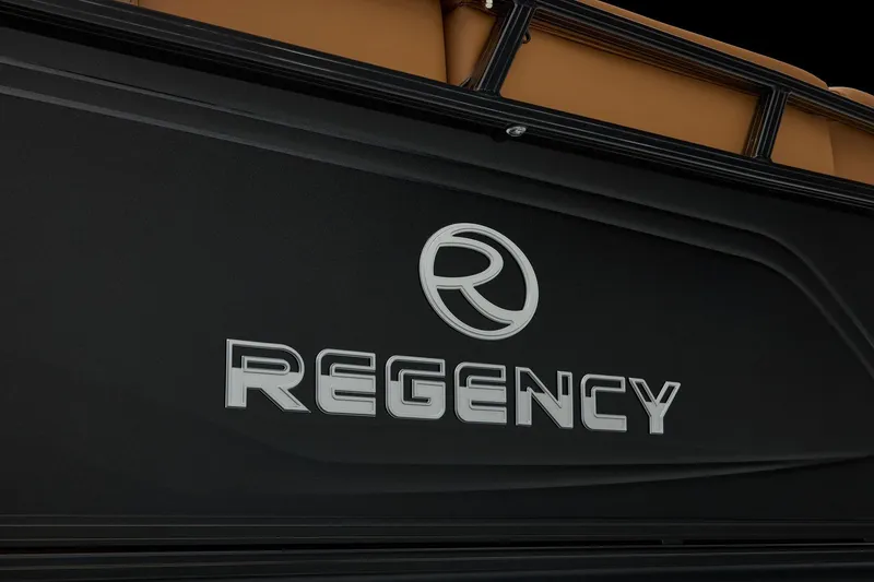Slide: The Image of Regency 250 DL 2026 - 65