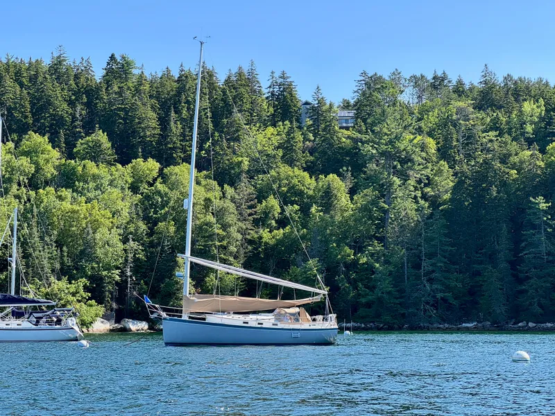 Slide: The Image of Sailboat Nonsuch 30 Ultra 1989 anchored near lush forested shoreline. - 5