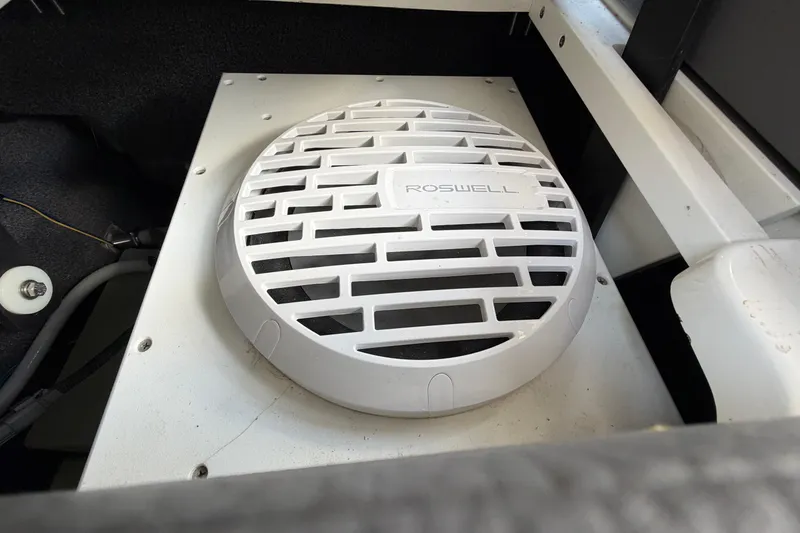 Slide: The Image of Speaker in Cobalt R8 Surf boat - 10