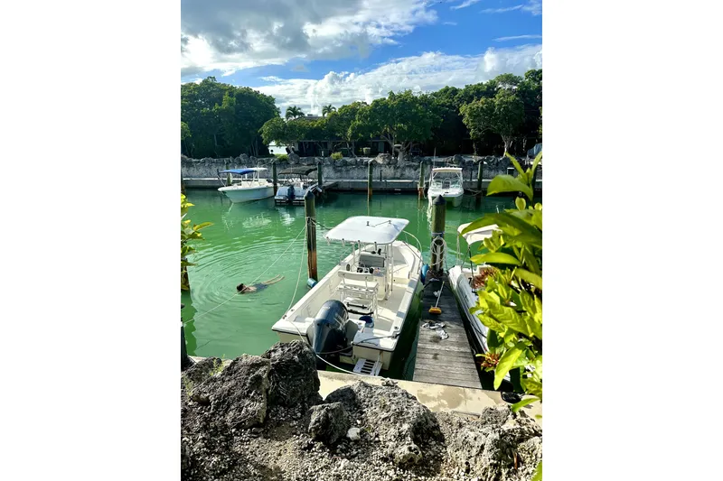 Slide: The Image of Boat docked in serene marina, Edgewater 200CC, 1999 model, surrounded by lush greenery. - 12