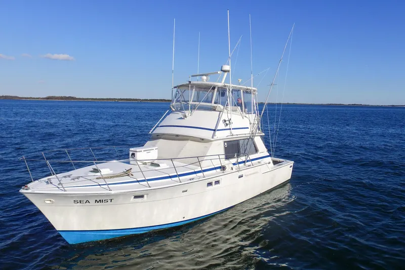 The Image of 1980 Bertram 42 Convertible yacht "Sea Mist" cruising on open water. - 0