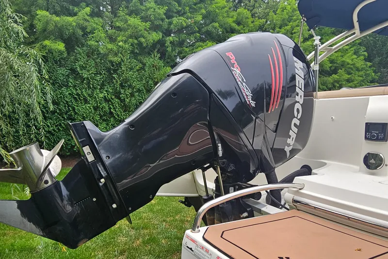 Slide: The Image of 2017 Sea Ray SDX 240 Outboard with Mercury engine, set against lush greenery. - 20