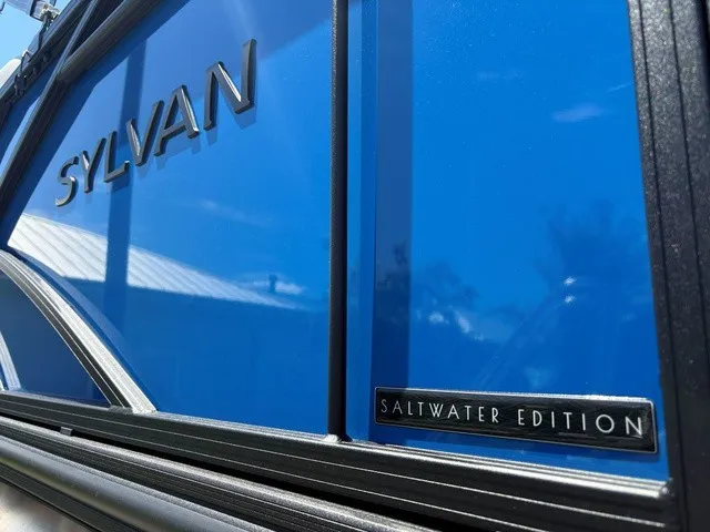 Slide: The Image of Sylvan X1 2026 - 11