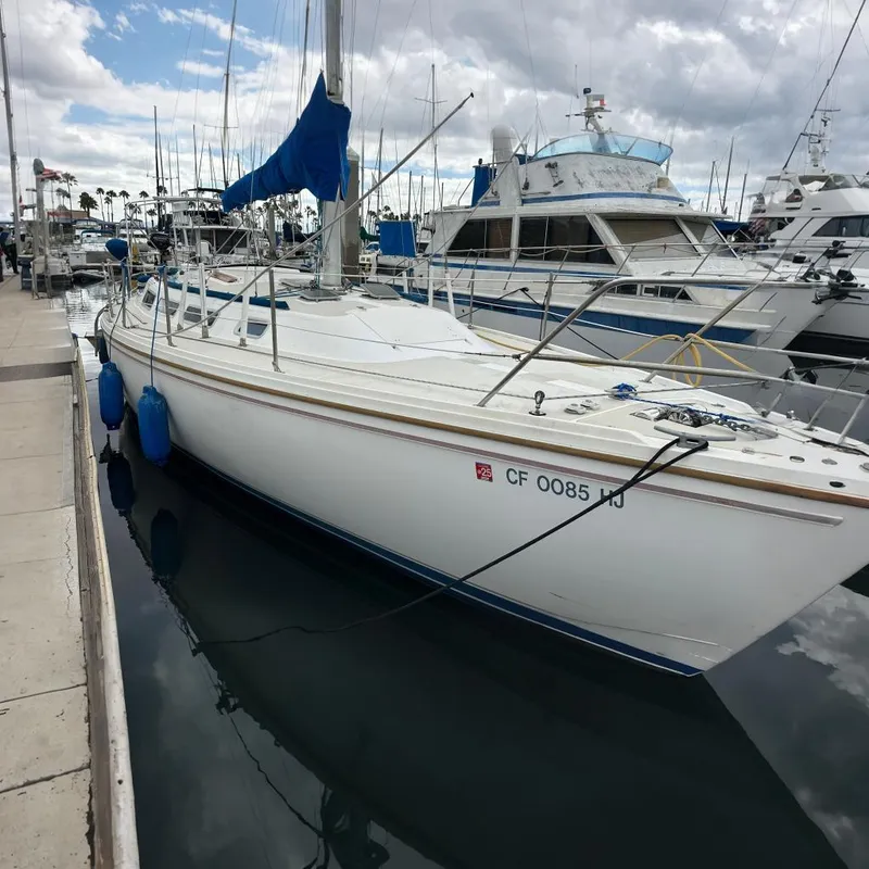 The Image of A white sailboat docked in a marina, surrounded by other boats. The sky is cloudy. - 0