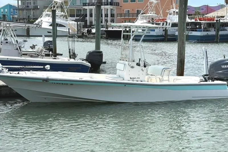 Slide: The Image of A 2006 BlackJack 224 boat docked in a marina, surrounded by other vessels. - 2