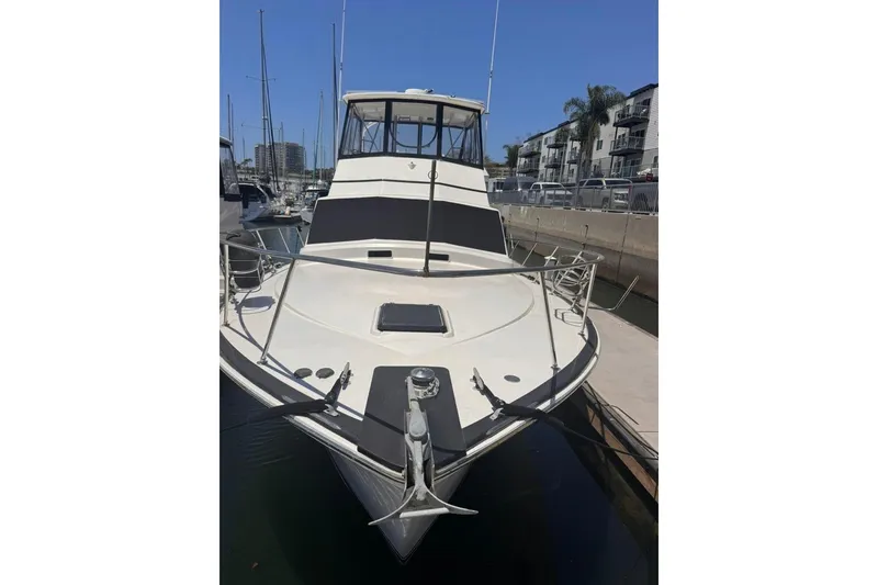 Slide: The Image of 1982 Sunliner Ocean Yachts boat docked in marina, featuring sleek design and spacious deck. - 3