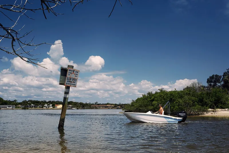Slide: The Image of Boston Whaler 130 Super Sport 2027 - 18