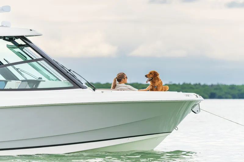 Slide: The Image of A woman and a dog relax on the bow of a Boston Whaler 330 Vantage. - 27