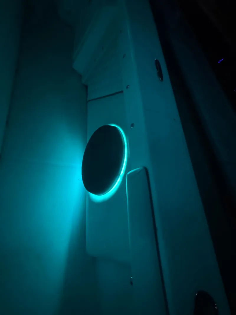 Slide: The Image of A lit speaker on board an Everglades 243 Center Console boat. - 32