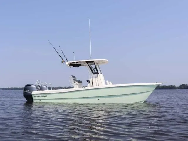 The Image of World Cat 235 CC 2024 - 1