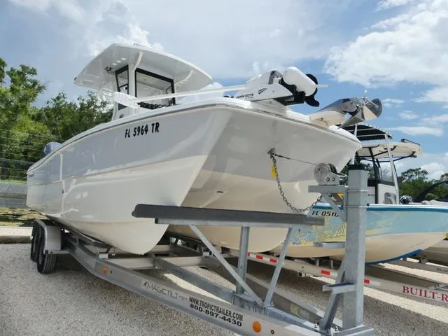The Image of World Cat 235 CC 2024 - 1