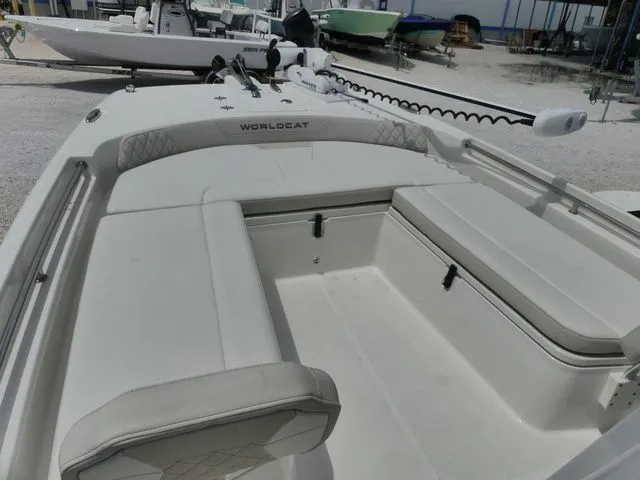 Slide: The Image of World Cat 235 CC 2024 - 11