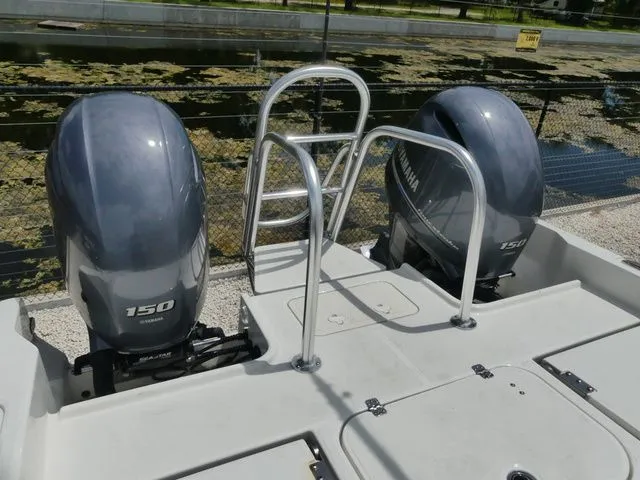 Slide: The Image of World Cat 235 CC 2024 - 5