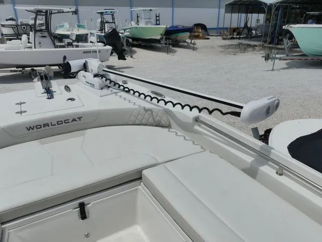 Slide: The Image of World Cat 235 CC 2024 - 12