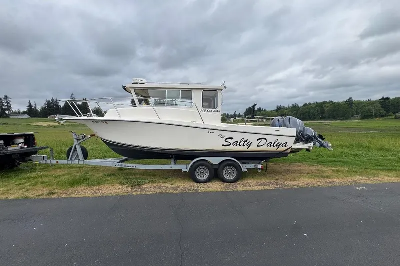 The Image of 2020 Defiance San Juan 250 boat named "Salty Dalya" on a trailer, parked outdoors. - 0