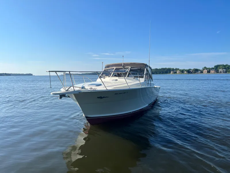Slide: The Image of Ein Viking 35 Express Boot von 1985 auf ruhigem Wasser mit klarem Himmel. - 5