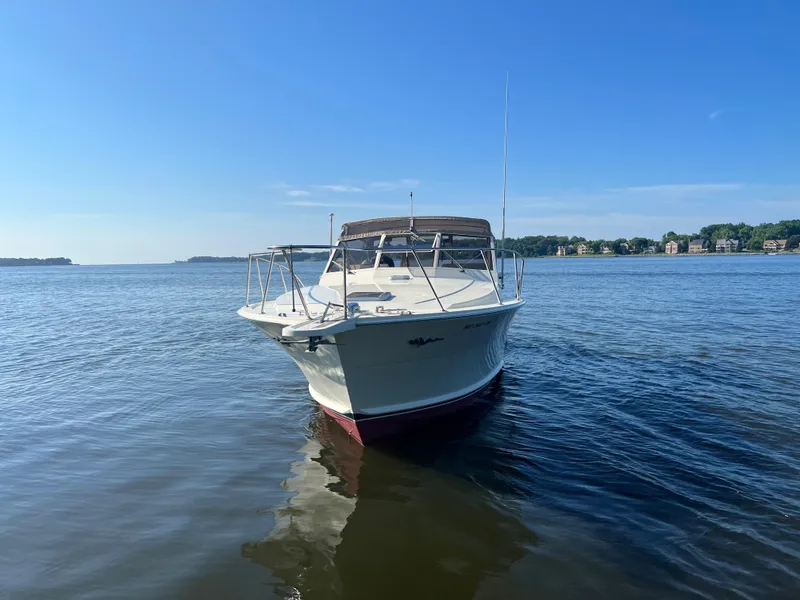 Slide: The Image of Ein weißes Boot, das auf ruhigem Wasser schwimmt, mit einer klaren blauen Himmel im Hintergrund. - 4