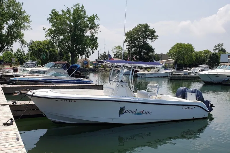 The Image of 2006 Edgewater 245CC boat docked at marina, surrounded by other boats and trees. - 0