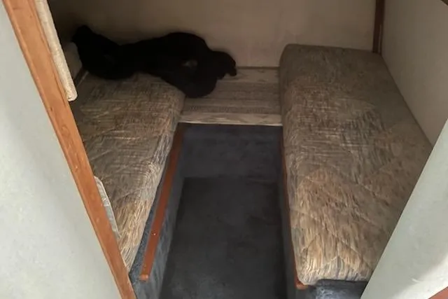 Slide: The Image of Interior cabin of 1989 Sea Ray 300 Sundancer with twin beds and carpeted floor. - 12