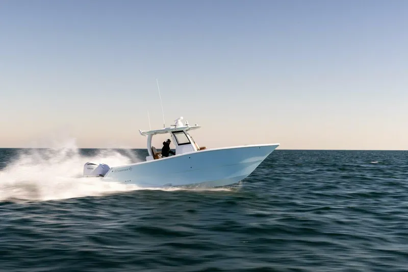 The Image of 2026 Freeman 29 boat speeding on open water under clear sky. - 1