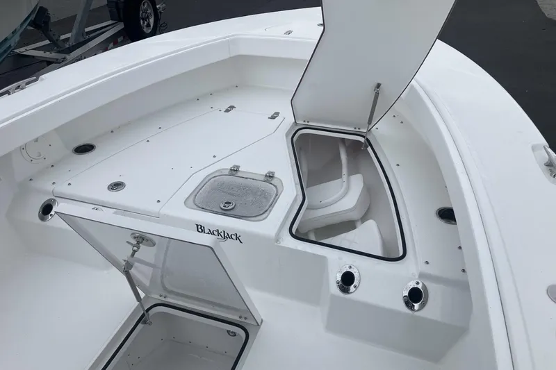 Slide: The Image of 2026 BlackJack 256 Coastal boat interior with open storage compartments and sleek white design. - 16