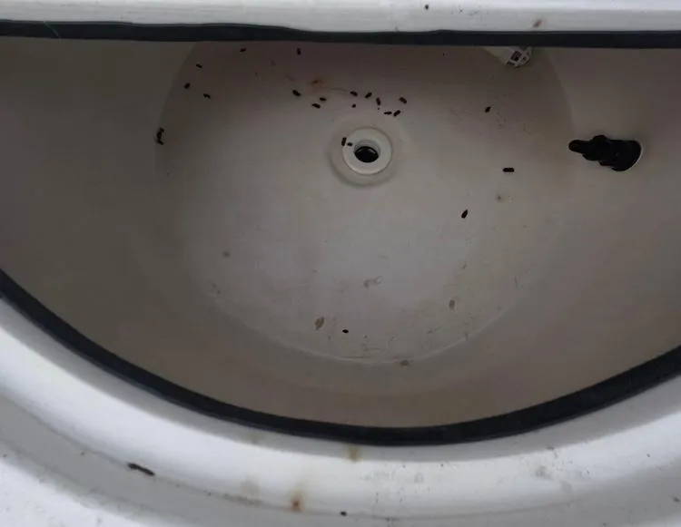 Slide: The Image of 2004 Twin Vee 26 Center Console livewell interior with debris. - 42