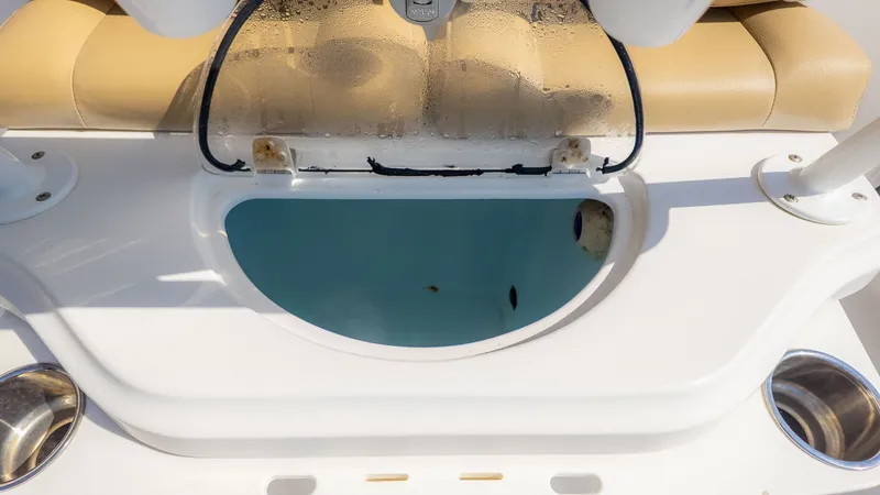 Slide: The Image of A livewell on a Sportsman 251 Heritage boat, filled with water and a fish. - 12