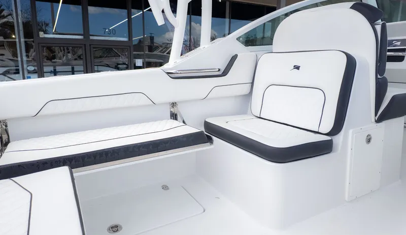Slide: The Image of Interior of the Stingray 259 DC featuring white and black seating. - 10