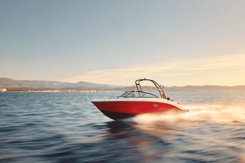 The Image of A red Sea Ray SPX 210 boat speeds across the water at sunset. - 0