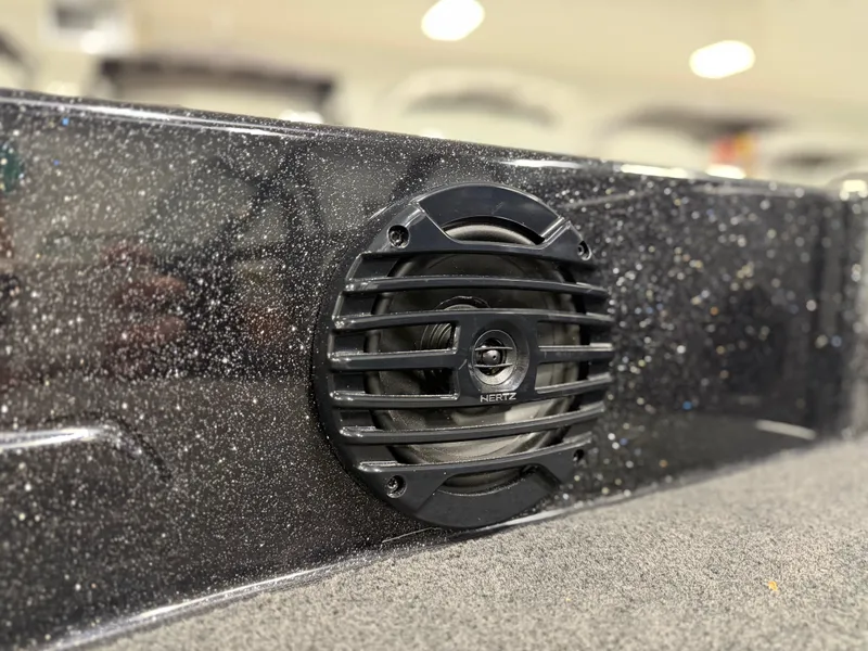Slide: The Image of Close-up of a speaker on a boat, surrounded by sparkling material. - 19